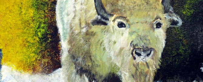 The White Buffalo by Kandace Krause