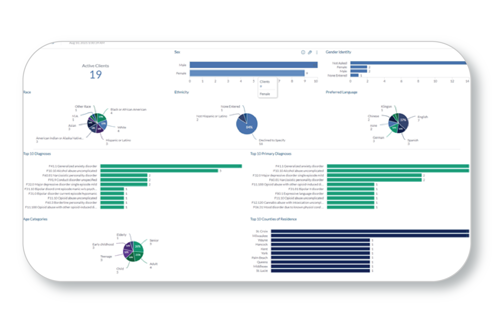 Procentive EHR Embedded Analytics Client Demographics Dashboard